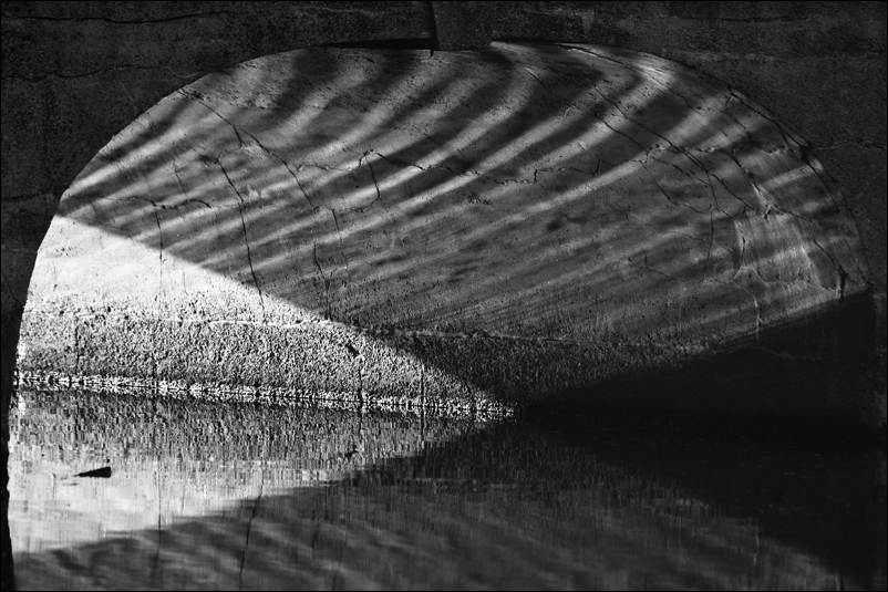 photo "geometry of highlights and reflections" tags: abstract, black&white, 