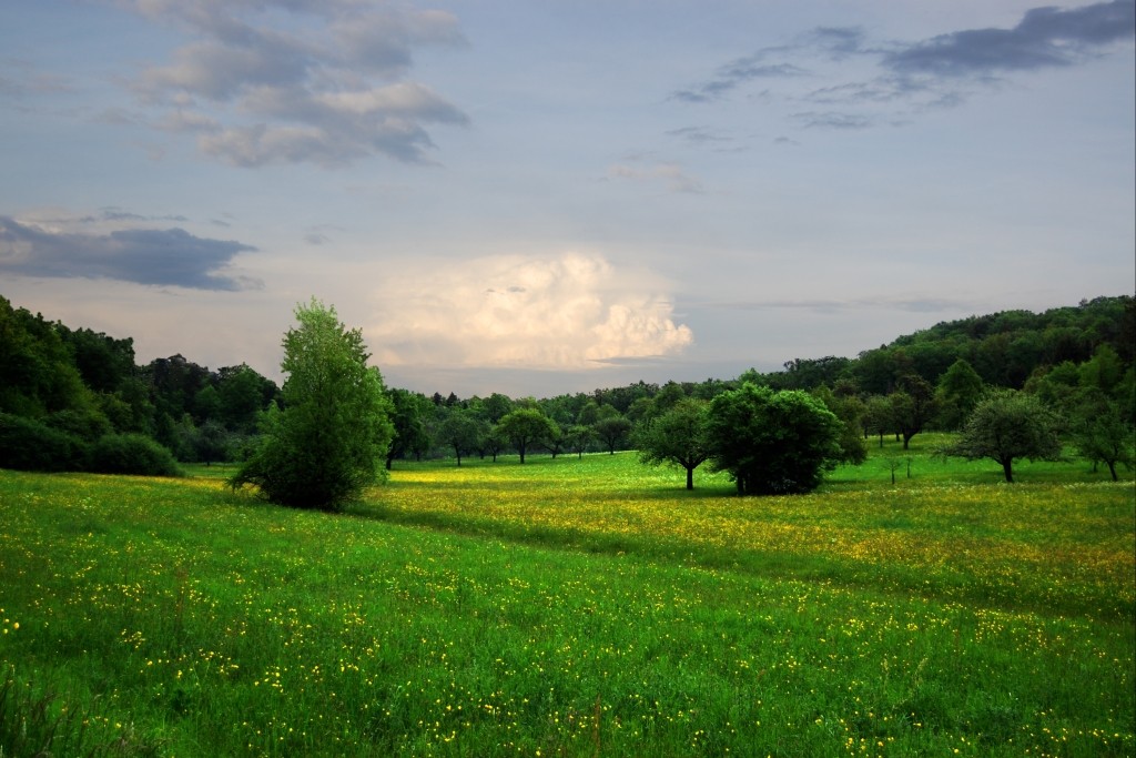 photo "..." tags: landscape, 