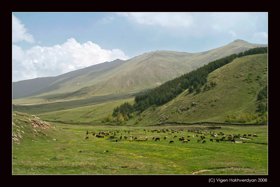 photo "***" tags: landscape, 