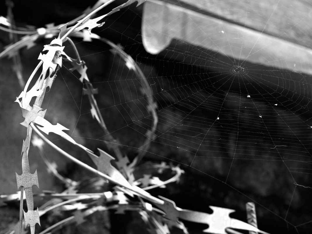 photo "Remembering the 20th century" tags: reporting, 