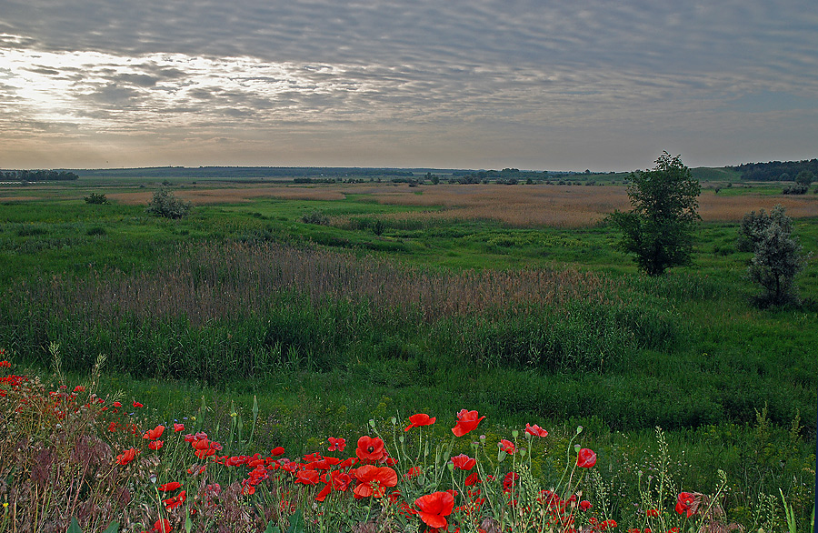 photo "***" tags: landscape, travel, spring