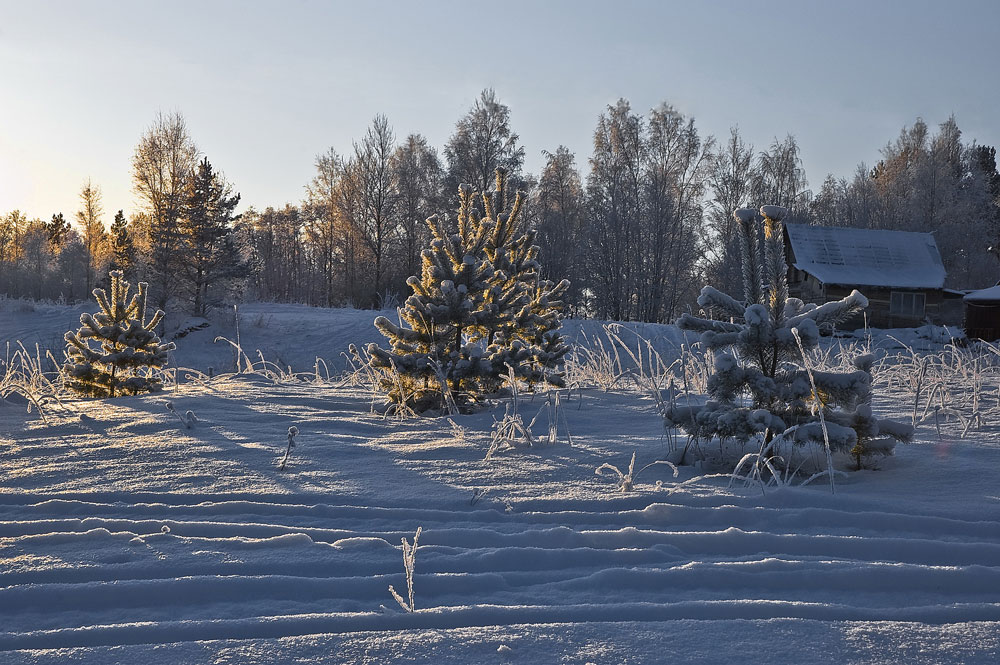 фото "Зимний пейзаж" метки: пейзаж, зима, лес