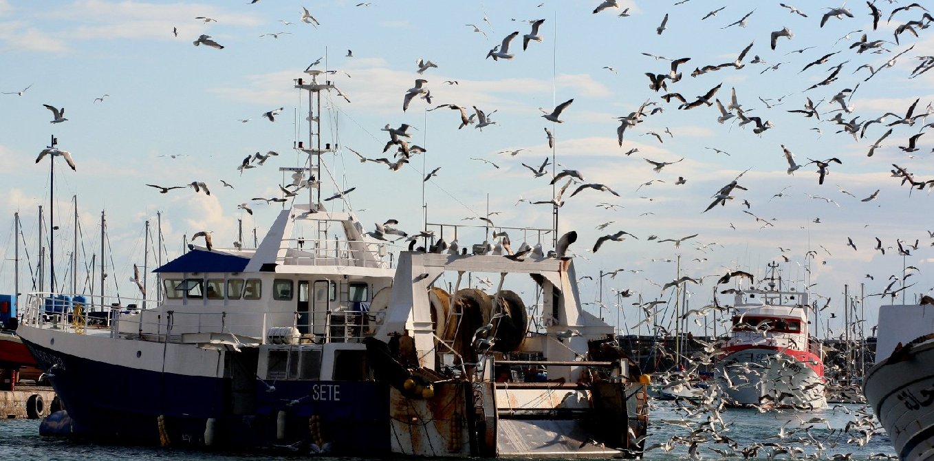 photo "when the fishermen's boat come back to the port" tags: landscape, water