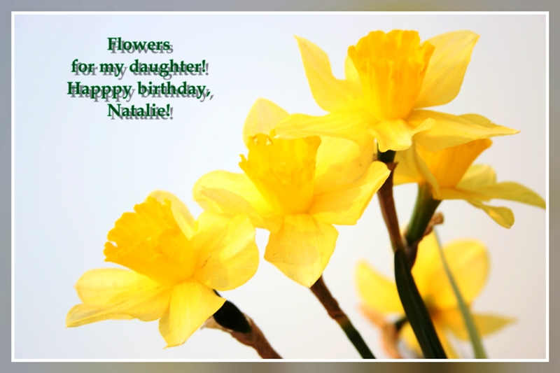 фото "Flowers for my daughter!" метки: , 