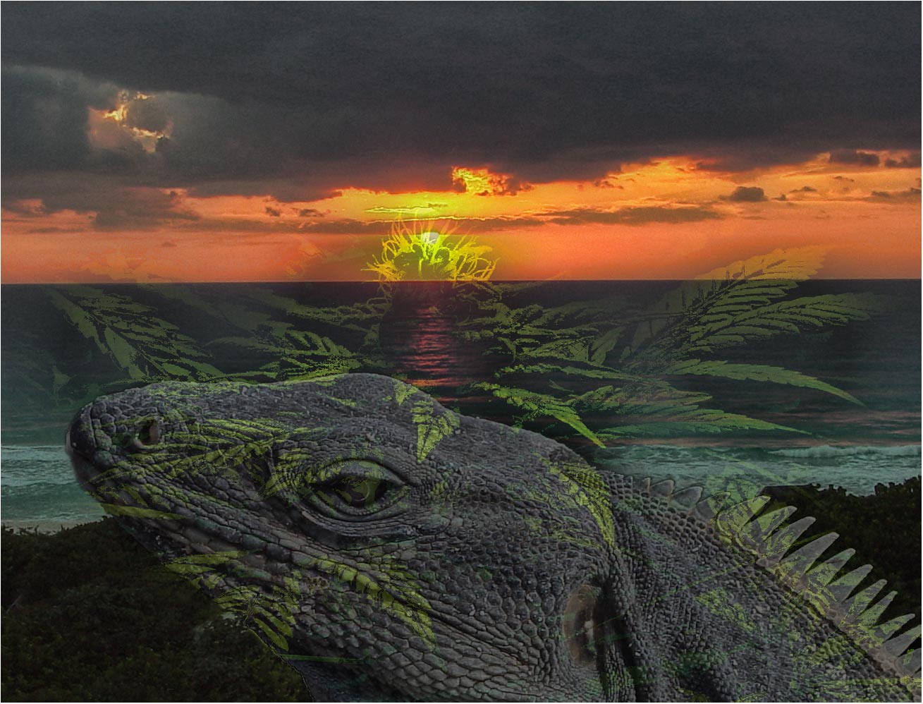 photo "Mexico" tags: abstract, montage, 