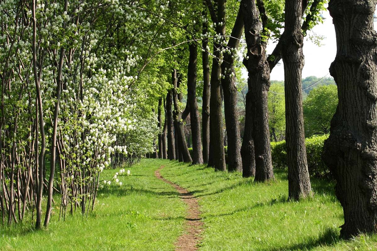 photo "***" tags: landscape, spring