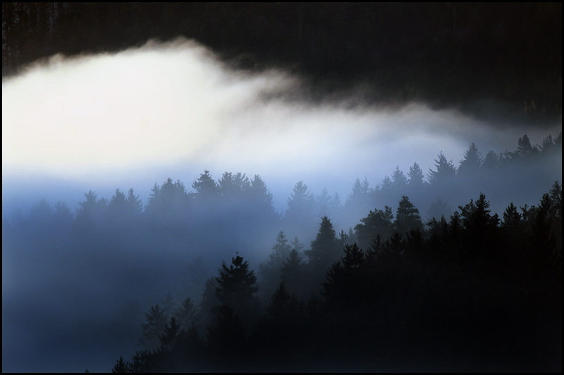 photo "No view, yet a beautiful site" tags: landscape, clouds