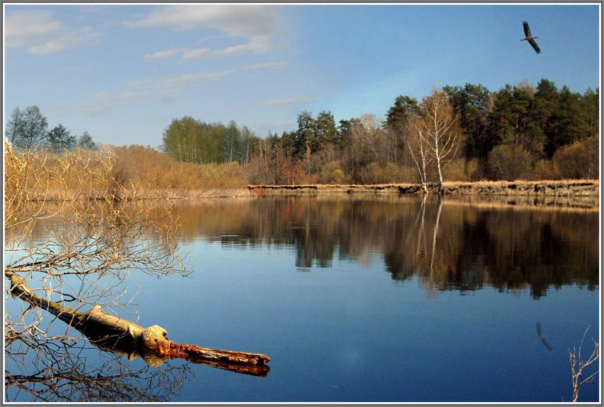 фото "весенние мотивы" метки: , 
