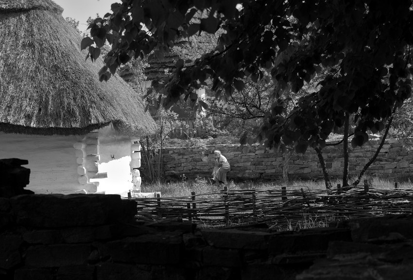photo "***" tags: genre, 