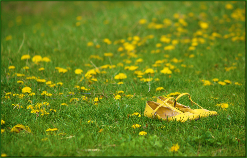 фото "Spring mood" метки: природа, гламур, цветы