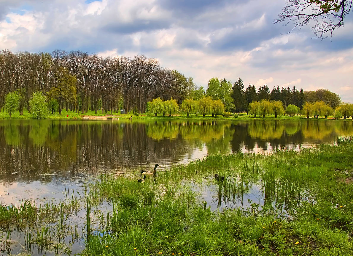 photo "***" tags: landscape, spring