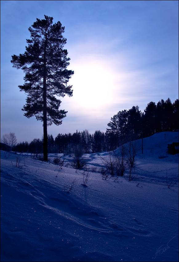 photo "about stardust..." tags: landscape, sunset, winter