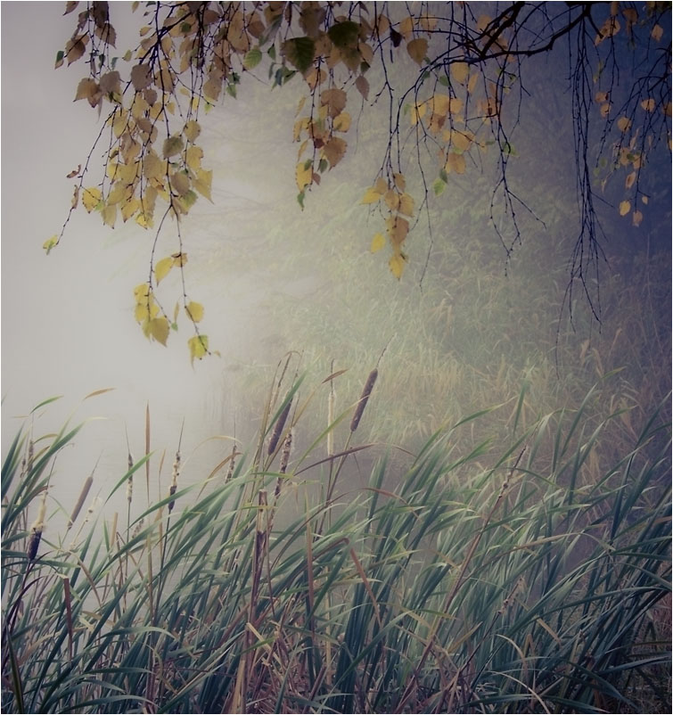 photo "***" tags: landscape, autumn, water