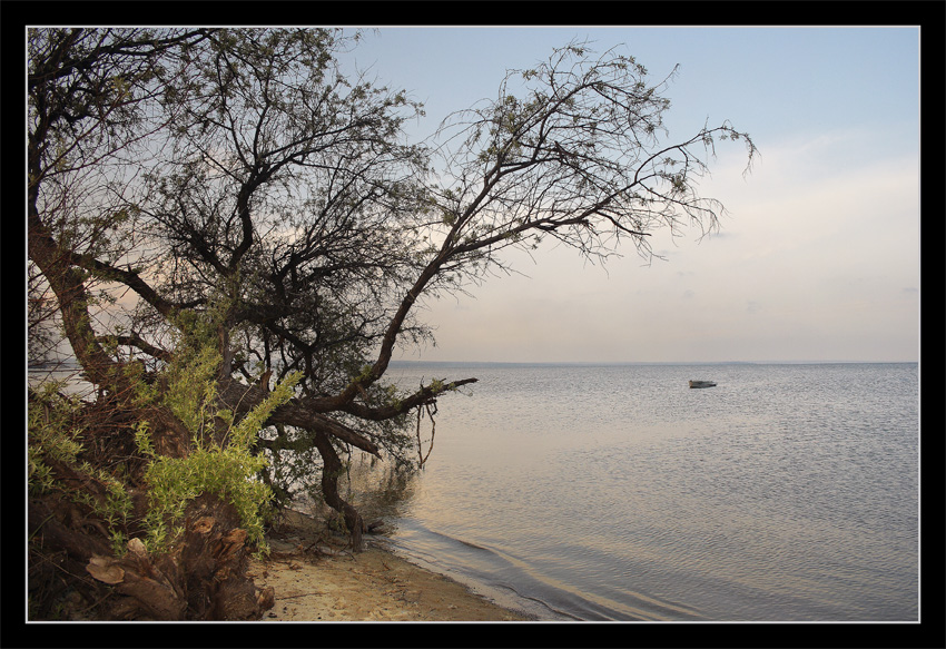 photo "***" tags: landscape, sunset, water