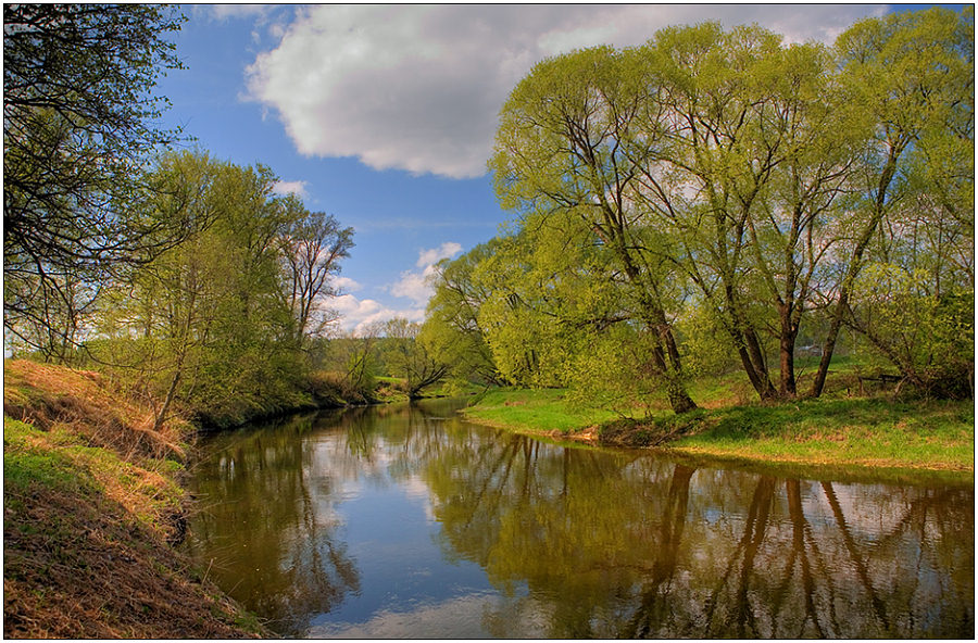 photo "Bright greens of May" tags: landscape, spring, water