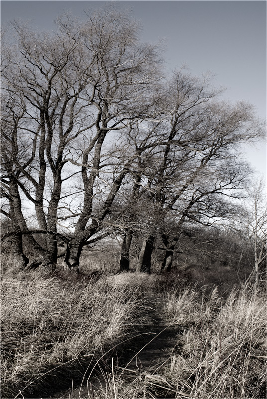 photo "***" tags: landscape, autumn