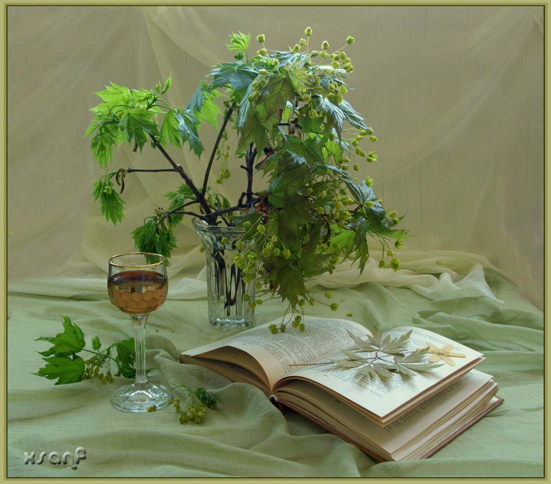 photo "***" tags: still life, 