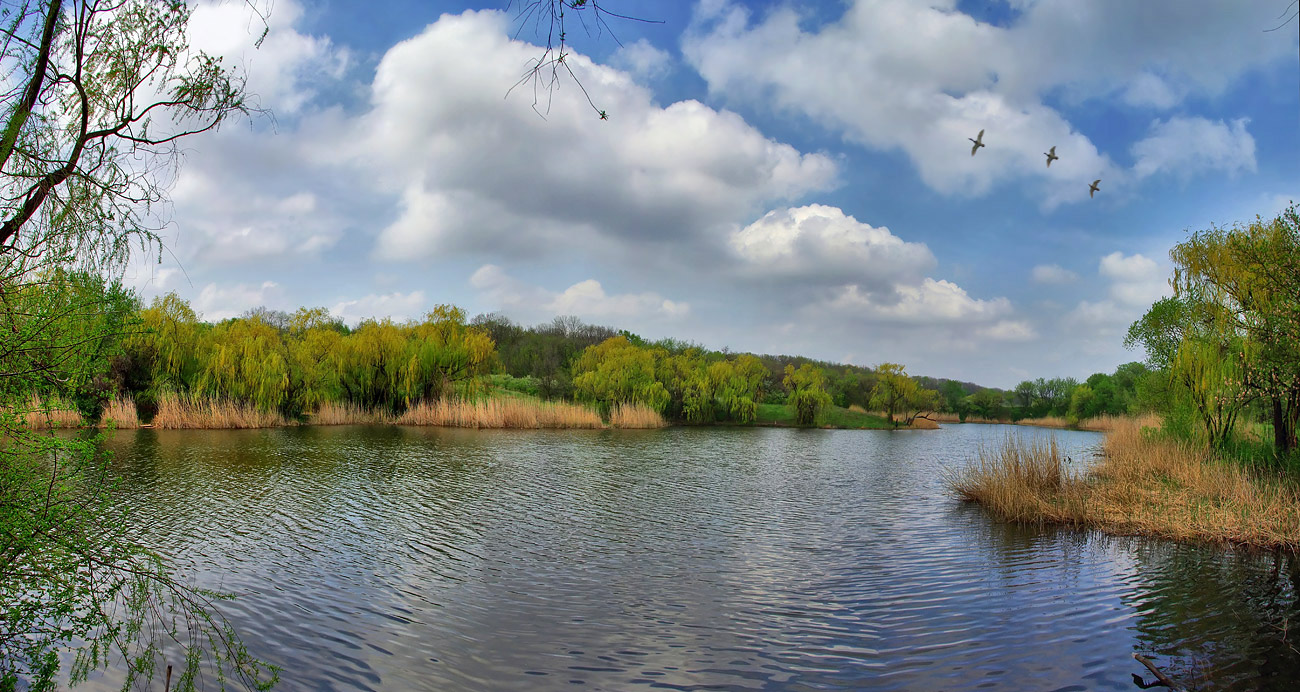 photo "***" tags: landscape, panoramic, spring