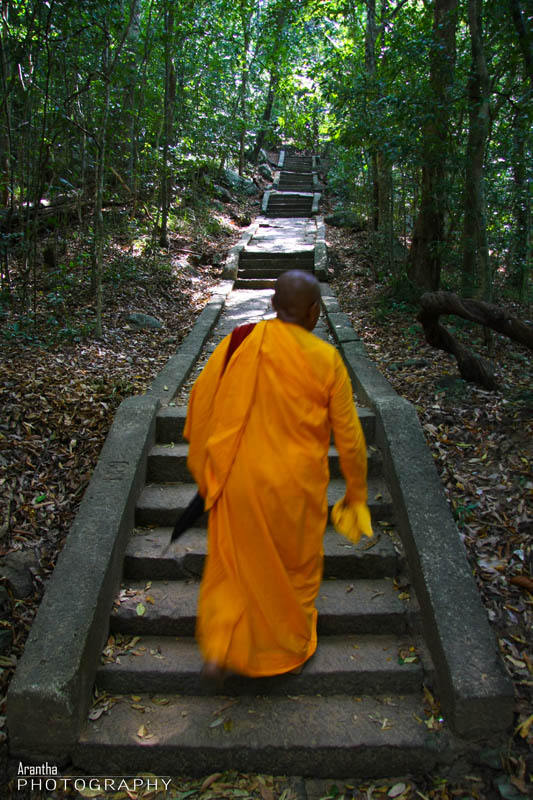 photo "The Middle path" tags: travel, Asia