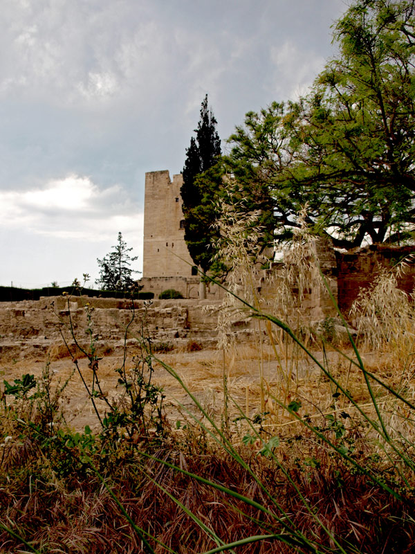 photo "Colossi Castle" tags: architecture, landscape, 