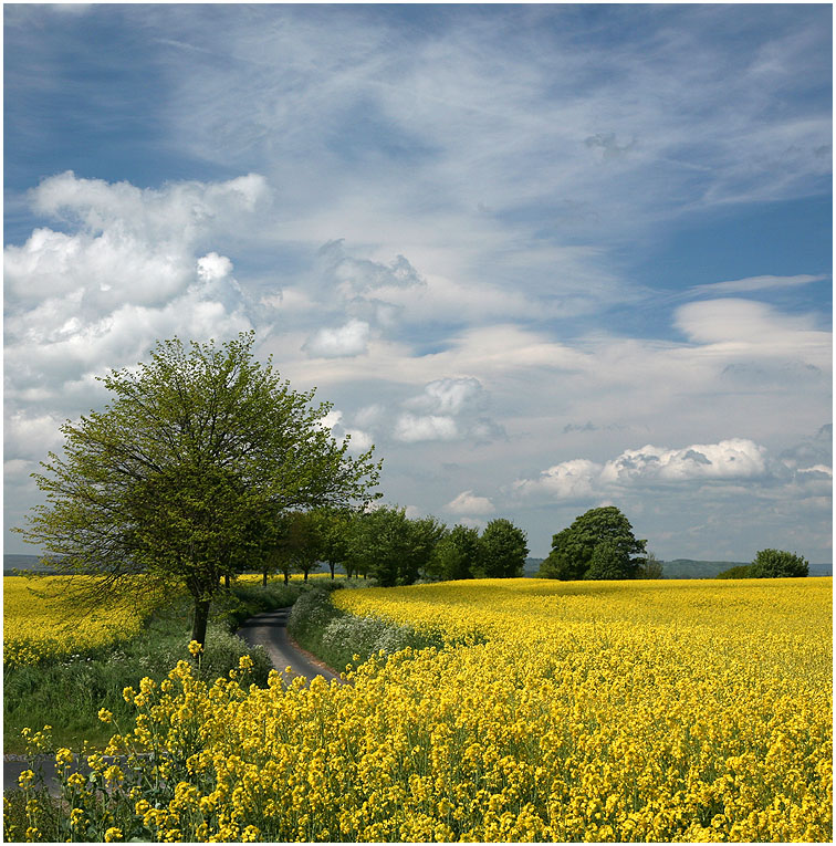 photo "***" tags: landscape, clouds, summer