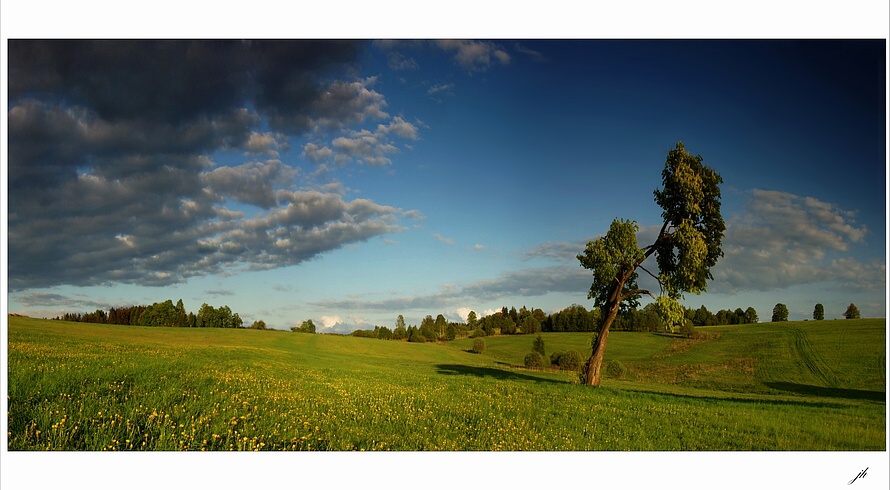 photo "Load elements" tags: landscape, spring