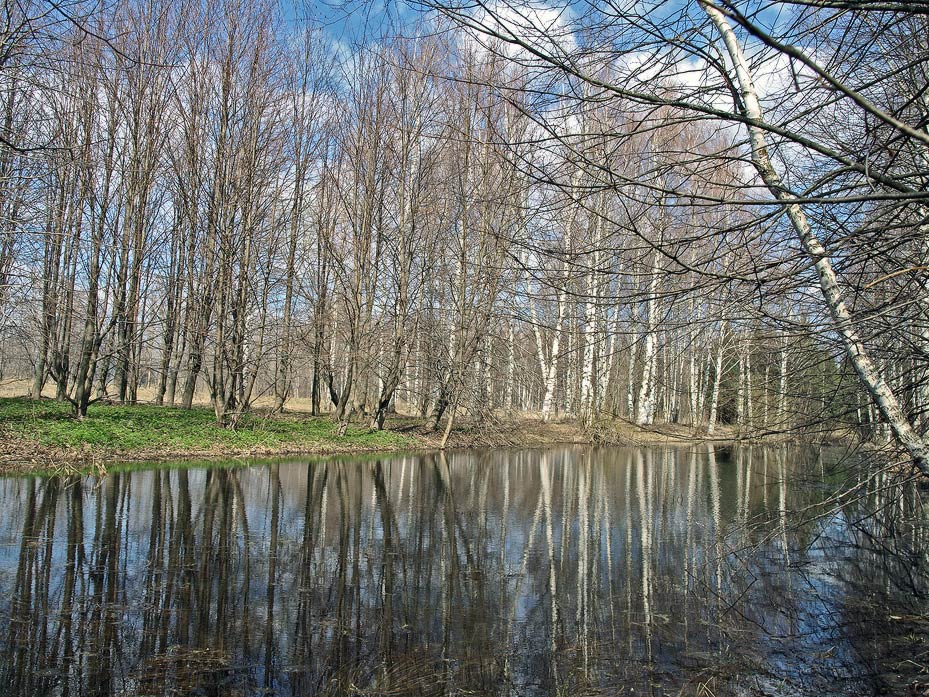 Талые воды весной