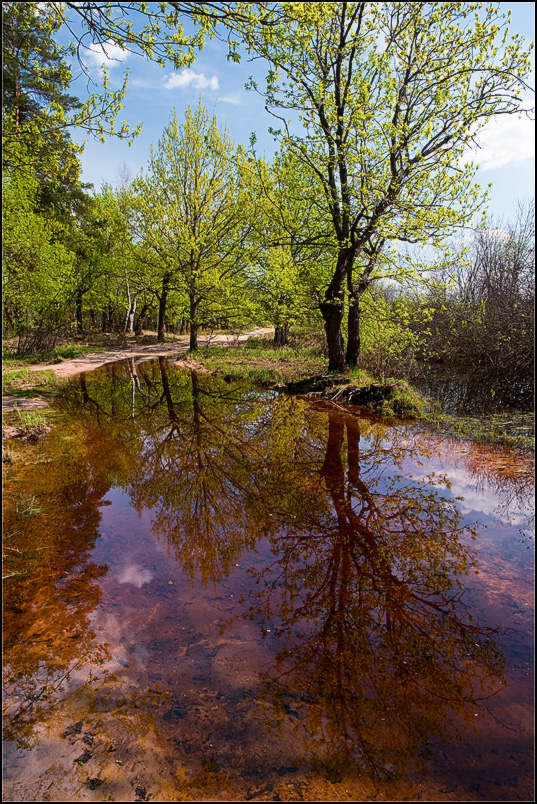 photo "***" tags: landscape, spring, water
