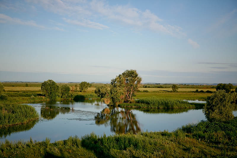photo "View over the Fence" tags: , 