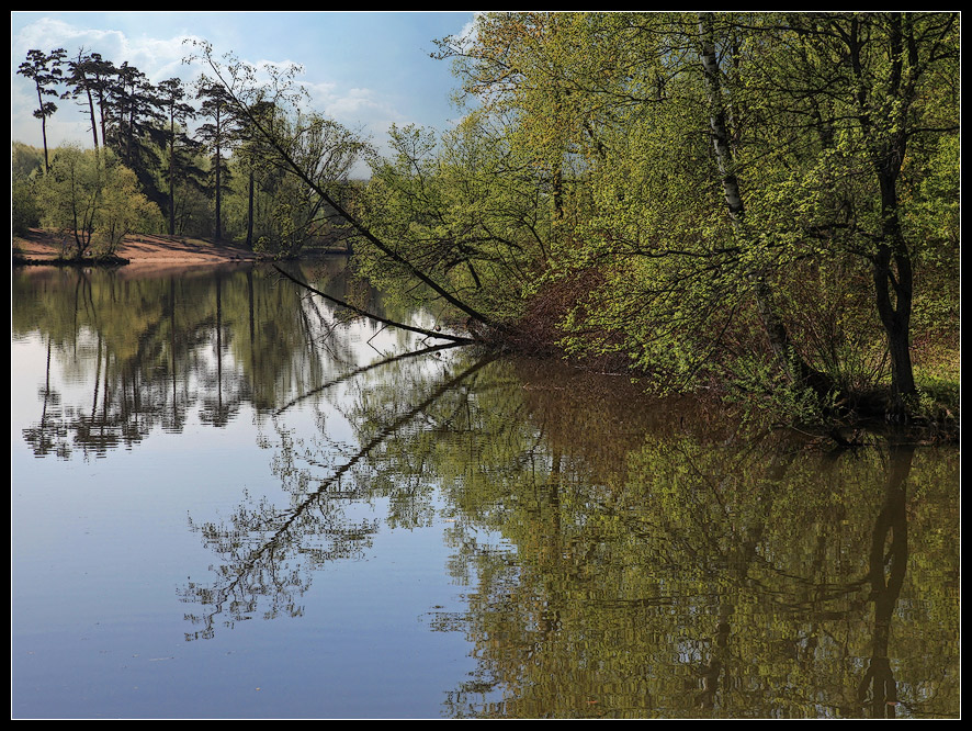 photo "may" tags: landscape, spring, water