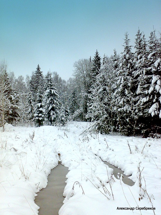 фото "Там на невидимых дорожках..." метки: пейзаж, зима