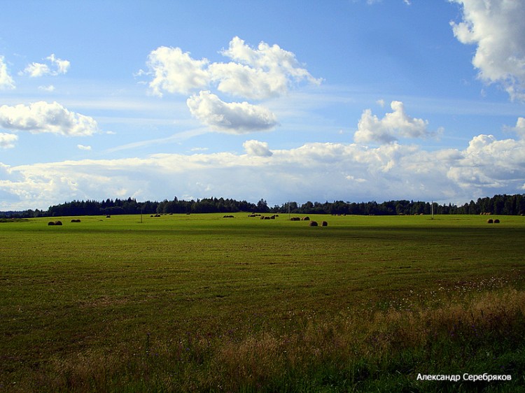 photo "***" tags: landscape, summer