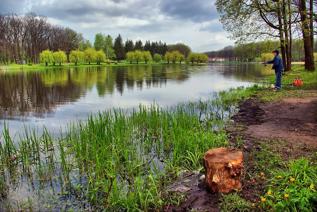 photo "***" tags: landscape, spring