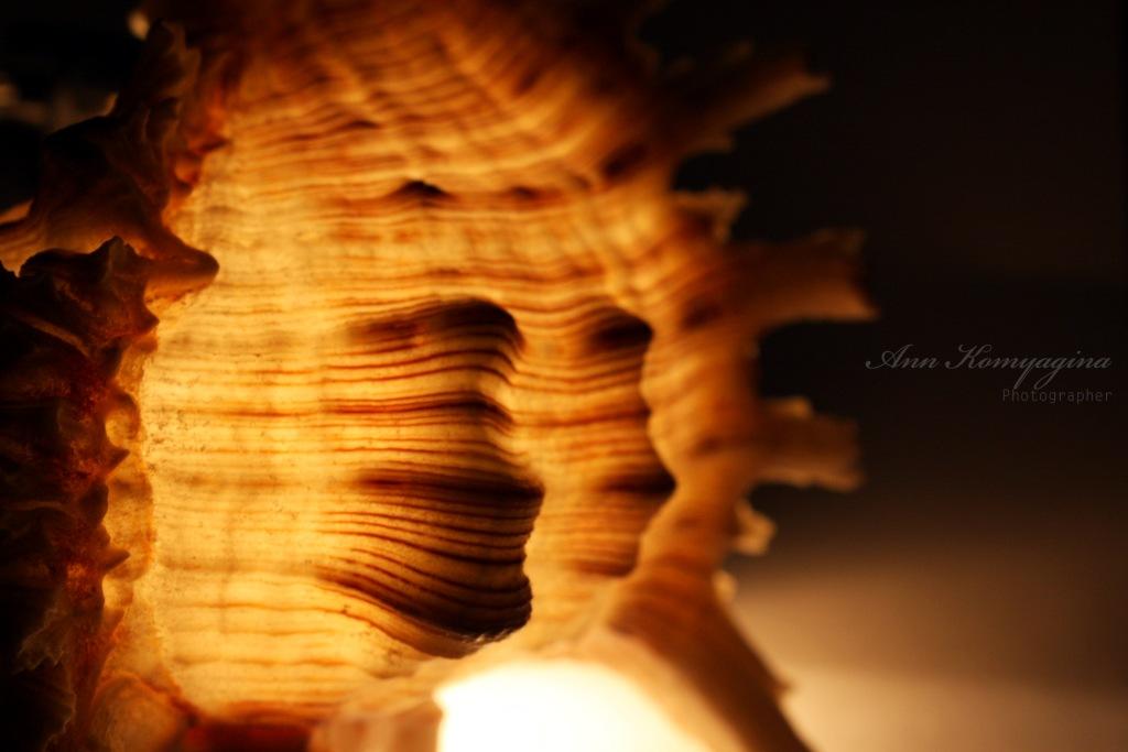 photo "***" tags: fragment, 
