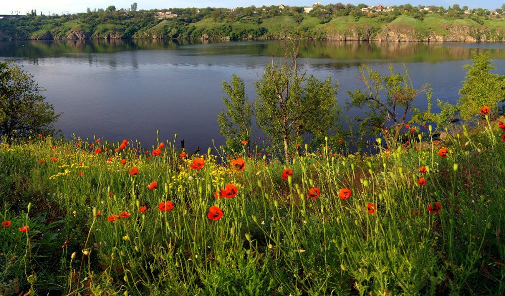 photo "***" tags: landscape, spring