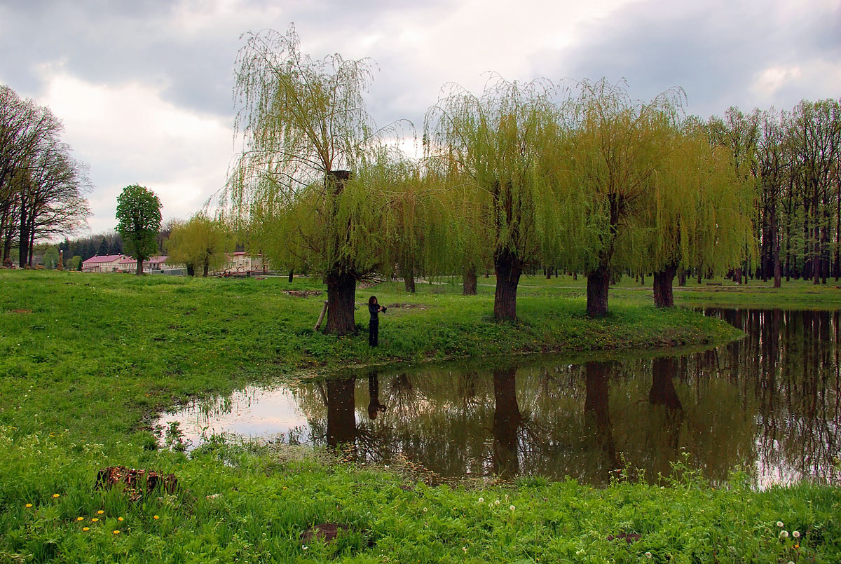 photo "***" tags: landscape, spring