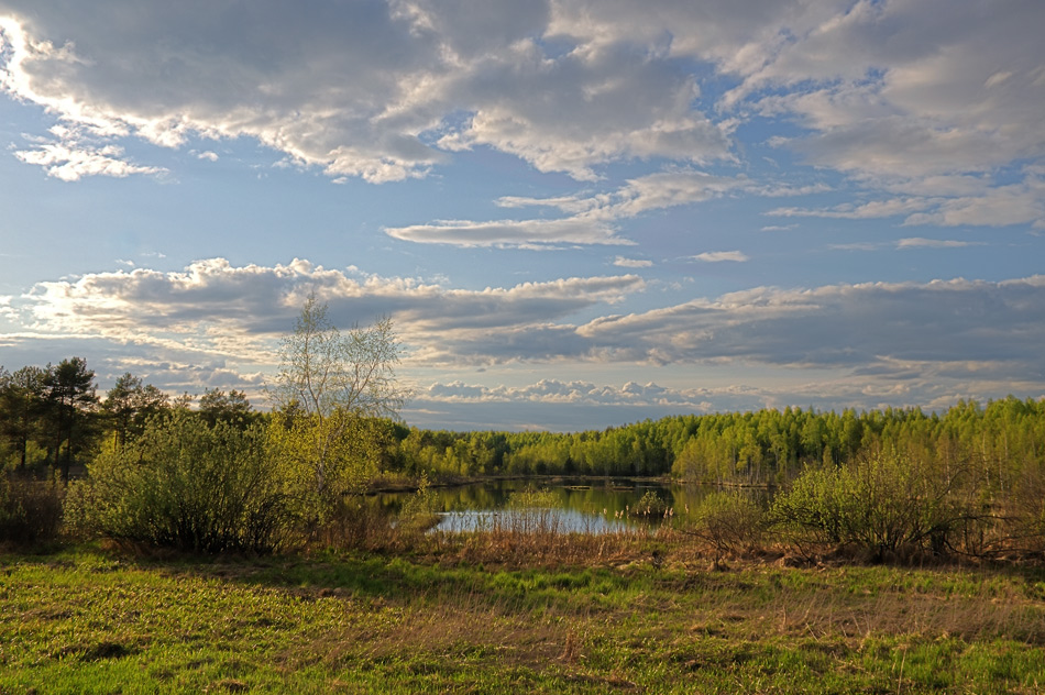 photo "***" tags: landscape, forest