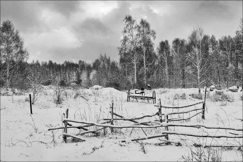 photo "***" tags: black&white, landscape, spring