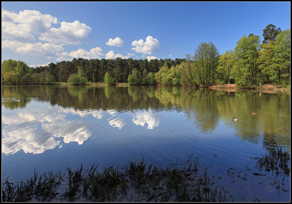 photo "Spring" tags: landscape, spring, water