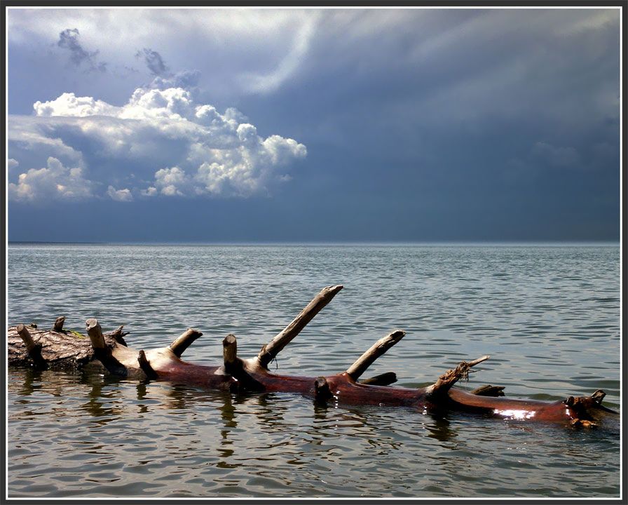 photo "Water" tags: landscape, summer, water