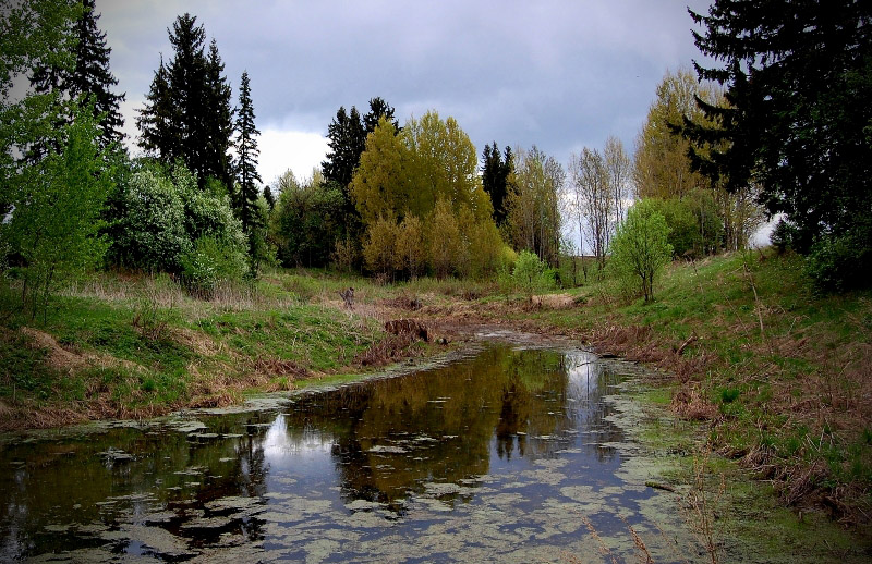 фото "Лесное озерцо" метки: пейзаж, вода, лес