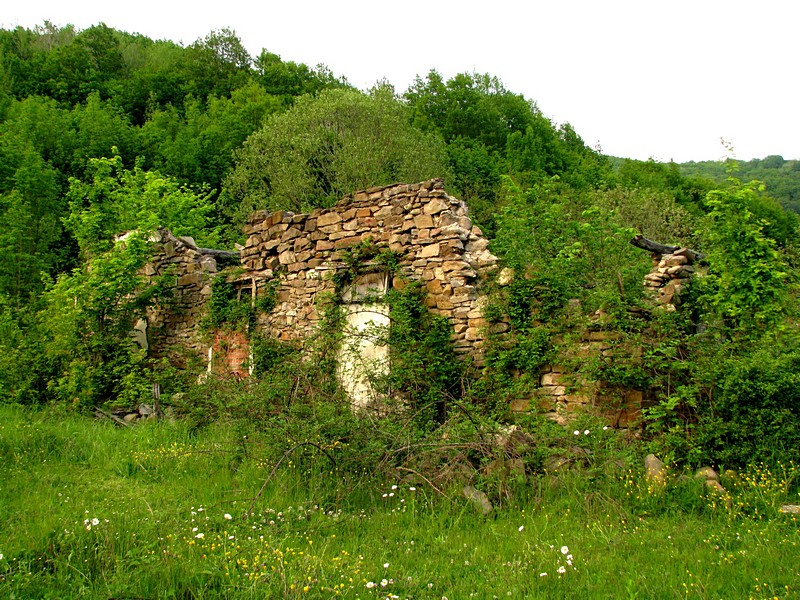 фото "поросло травой...." метки: архитектура, пейзаж, 