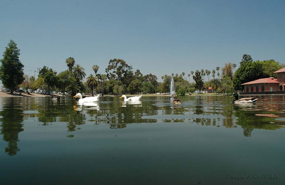 photo "A ducks eye view." tags: landscape, humor, water