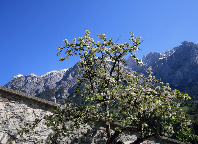 photo "***" tags: landscape, mountains