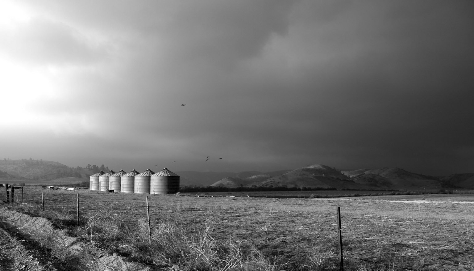 photo "Silos" tags: architecture, landscape, 