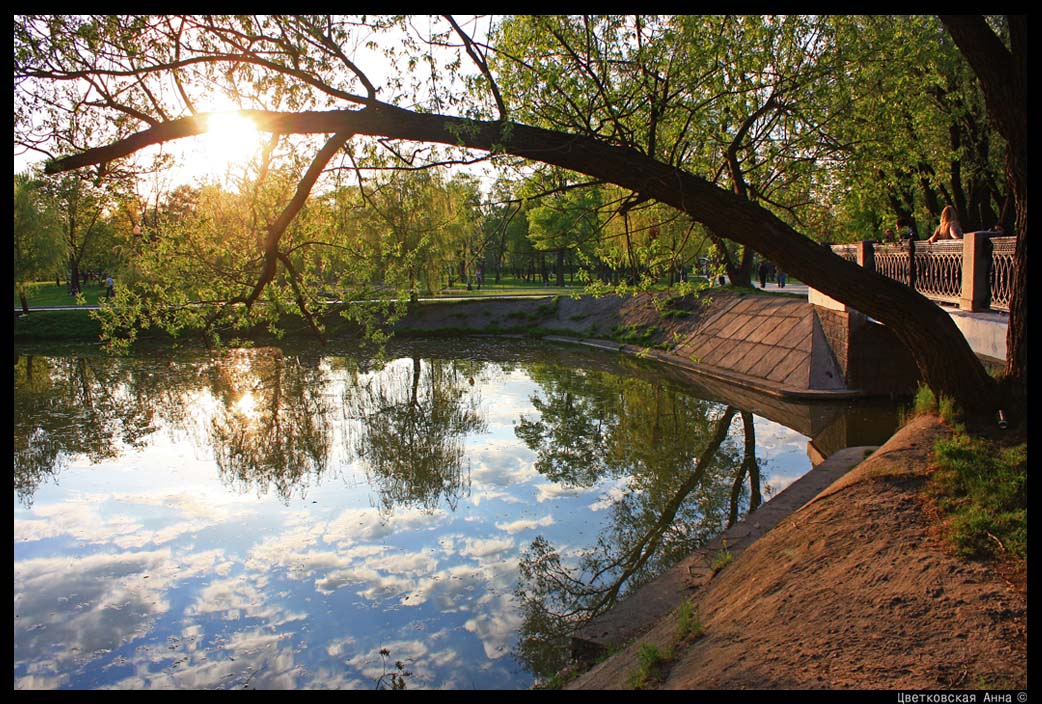 фото "Весенне-солнечный" метки: пейзаж, весна, вода, отражения, солнце