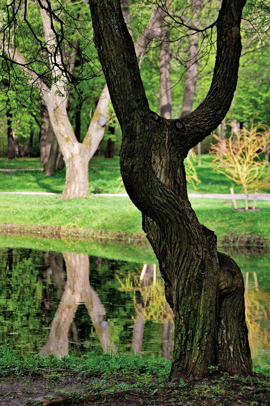 photo "Slingshots" tags: landscape, spring