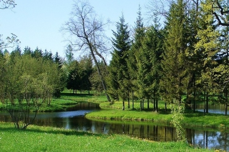 фото "В весеннем парке" метки: пейзаж, весна, лес