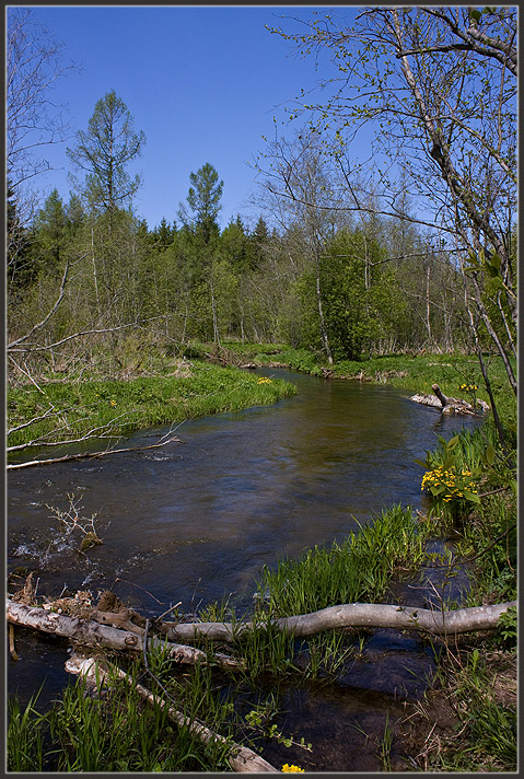 photo "***" tags: landscape, spring