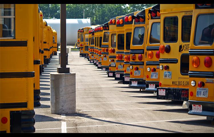 photo "busy buses..." tags: misc., 
